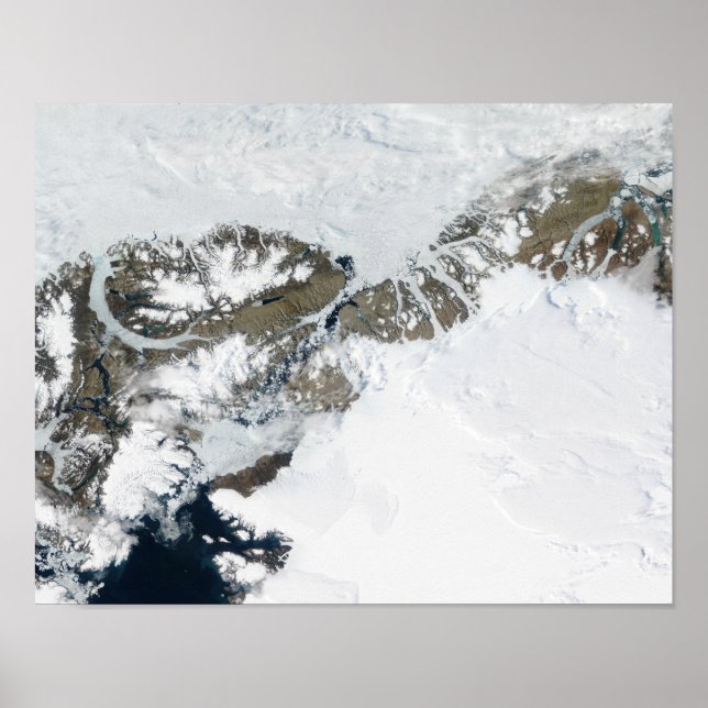 Pôster A palha de verão (Frente)