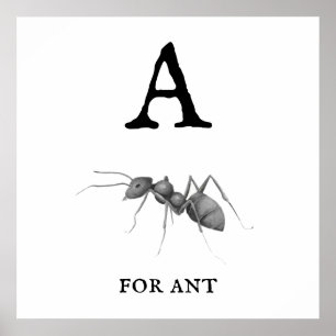 Poster "A" para Ant 