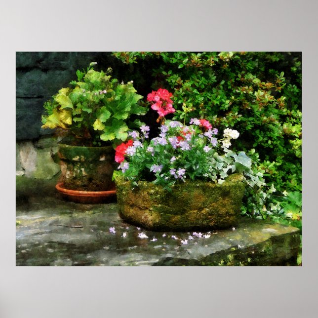Pôster A PARTIR DE 20 DÓLARES - Alemães e Flores de Lavan (Frente)