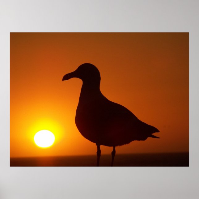 Pôster A paz continua. (Frente)