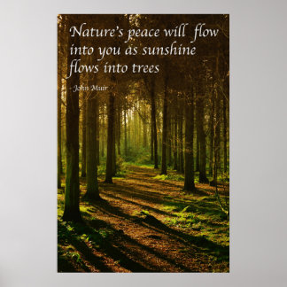 Poster 'A paz da natureza fluirá para você' citação J Mui