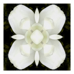 Pôster A paz esteja contigo...