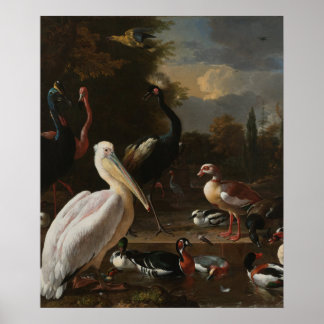 Poster A Pena Flutuante