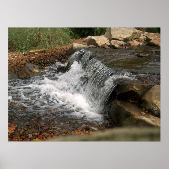 Pôster A pequena cascata (Frente)