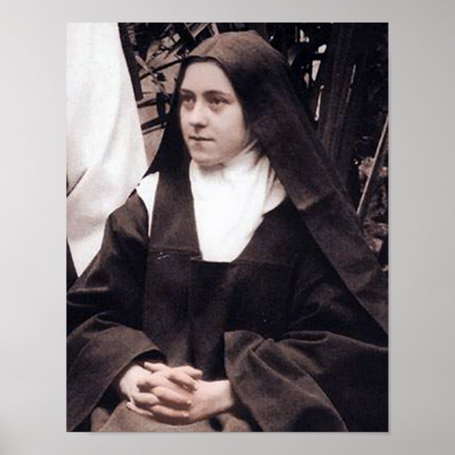 Pôster A Pequena Flor (Frente)