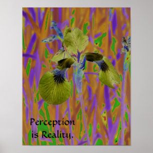 Pôster A percepção é Poster-Íris da realidade