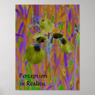 Pôster A percepção é Poster-Íris da realidade