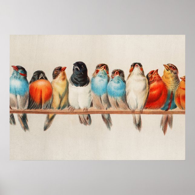 Poster A Perch of Birds, 1880 por Hector Giacomelli (Frente)