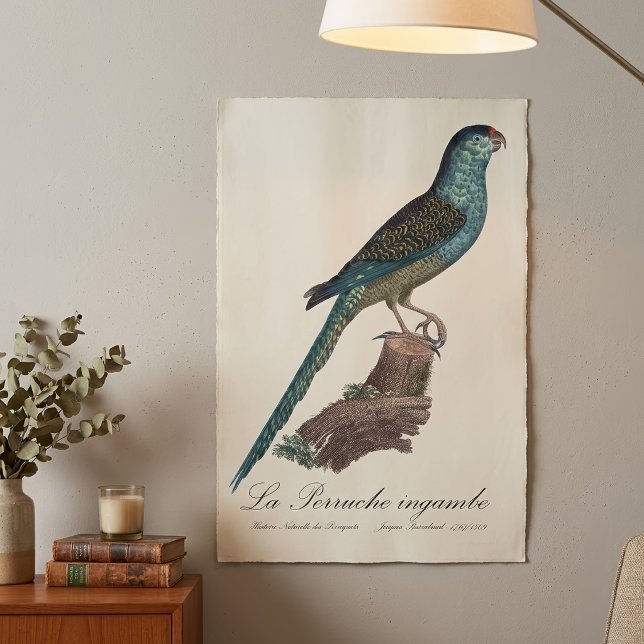 Poster A Perruche ingambe  (Ground Parrot or Swamp Parrot, Pezoporus Wallicus. Poster)