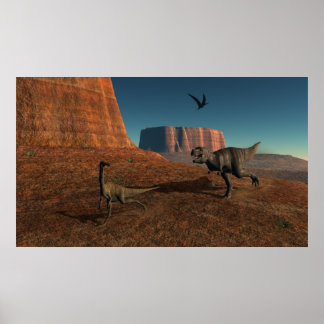 Pôster A perseguição