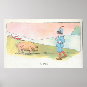 Pôster A Pig