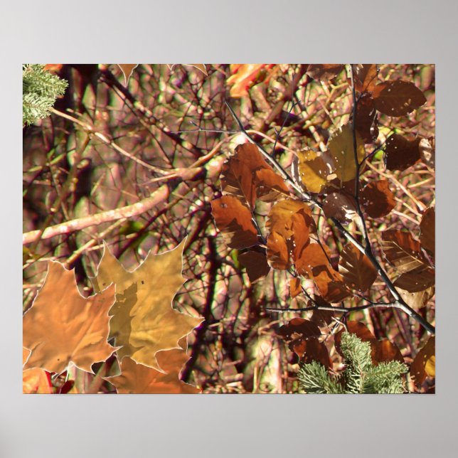 Pôster A pintura de Camo Camouflage de Hunter Personaliza (Frente)