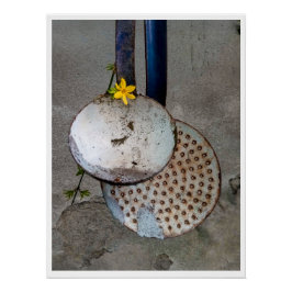 Pôster A poesia das coisas esquecidas