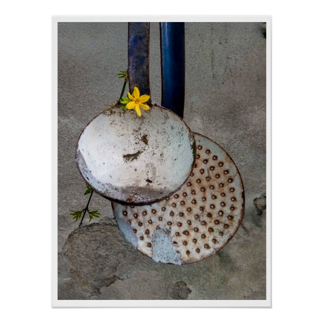 Pôster A poesia das coisas esquecidas (Frente)