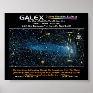 Pôster A Pormenorizada Mira Estelar com Cauda, Os Binário