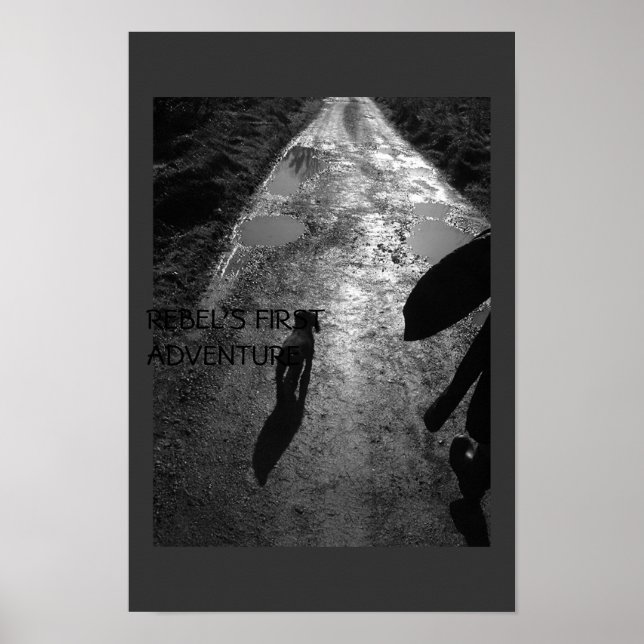 Pôster A primeira aventura de Rebel (Frente)