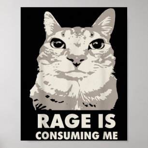 Poster A Rage Está A Consumir-Me Um Gato Irritado, Sarcas