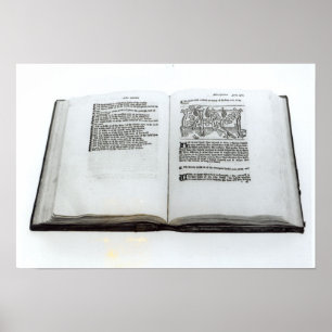 Pôster A Raposa e as Uvas