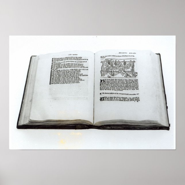 Pôster A Raposa e as Uvas (Frente)