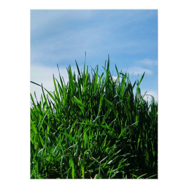 Pôster A relva verde no fundo do infinito (Frente)