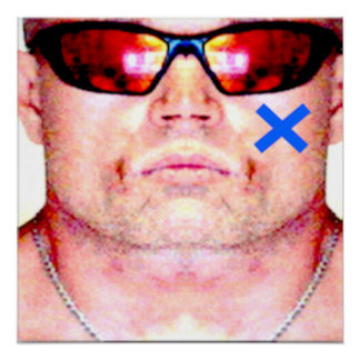 Pôster A Revolução X por X