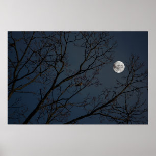 Poster A Robin e a Lua