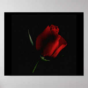 Poster A rosa vermelha Preto-adiciona sobre palavras se