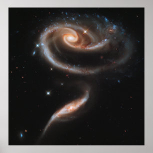Pôster A Rose Made of Galaxies, ARP 273 [Print]