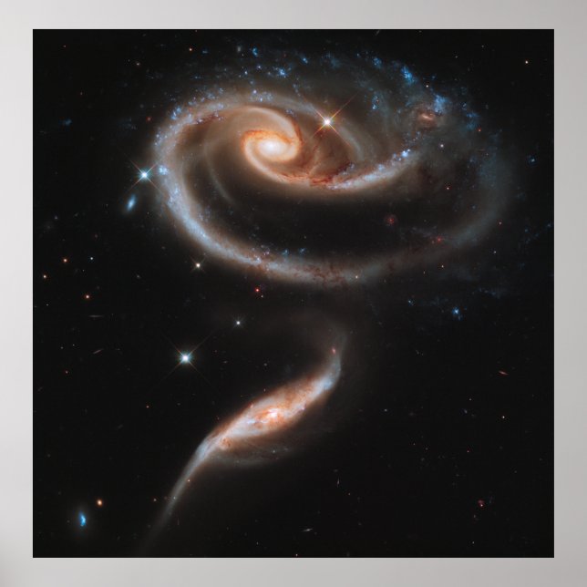 Pôster A Rose Made of Galaxies, ARP 273 [Print] (Frente)
