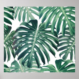 Poster A selva tropical deixa um fundo floral