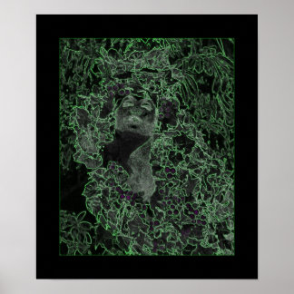 Pôster A Senhora da Floresta