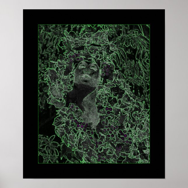 Pôster A Senhora da Floresta (Frente)