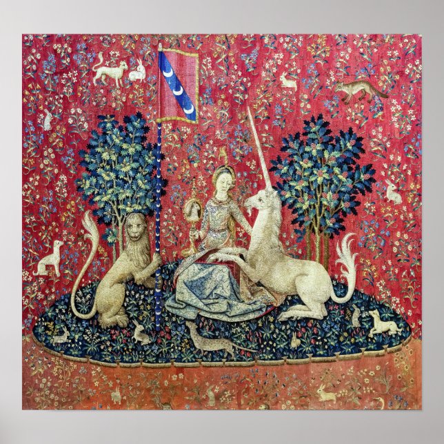 Poster A Senhora e o Unicórnio, Visão (Frente)