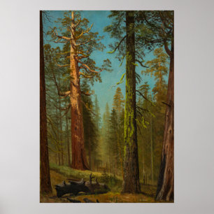 Poster A Sequóia Gigante Grizzly, Califórnia