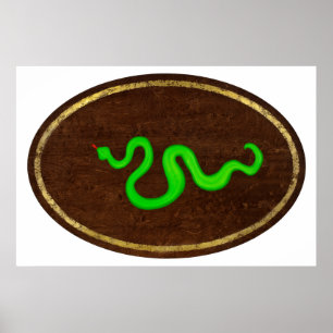 Poster A Serpente 2009