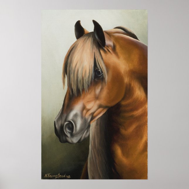 Poster A Sharade (Frente)