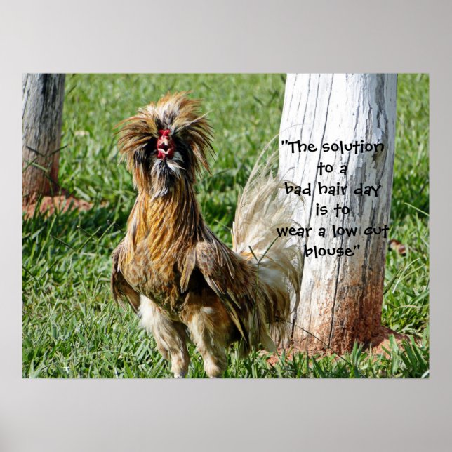 Poster A solução para um mau humor (Frente)