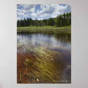 Poster A Still Pond Reflecting The Clouds