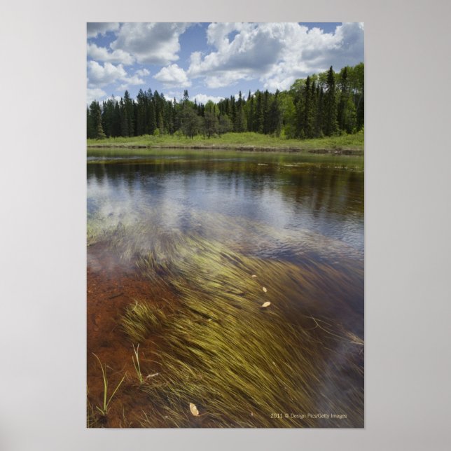 Poster A Still Pond Reflecting The Clouds (Frente)