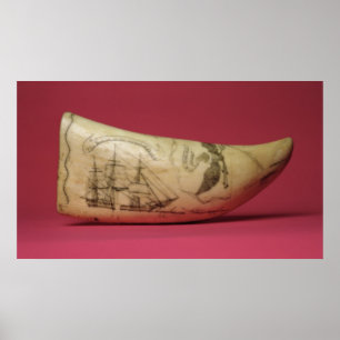 Poster A Susan na costa do Scrimshaw de Japan
