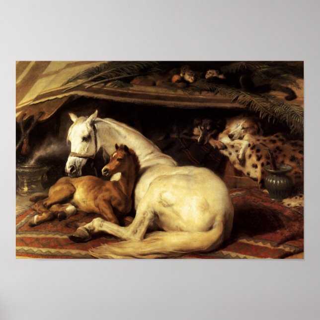 POSTER A TENDA ÁRABE COM CAVALOS E OUTROS ANIMAIS (Frente)