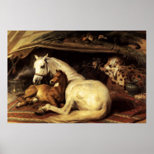 POSTER A TENDA ÁRABE COM CAVALOS E OUTROS ANIMAIS
