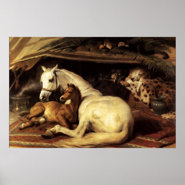 POSTER A TENDA ÁRABE COM CAVALOS E OUTROS ANIMAIS (Frente)