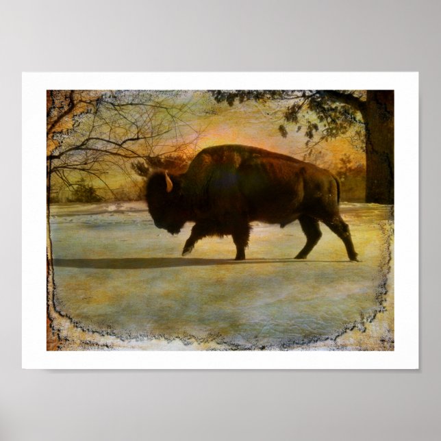 Pôster À Terra (Frente)