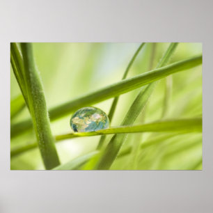 Poster A terra em uma gota