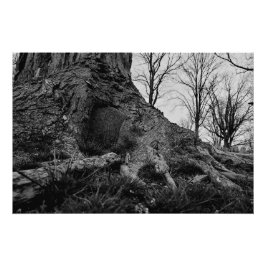 Pôster a terra recupera