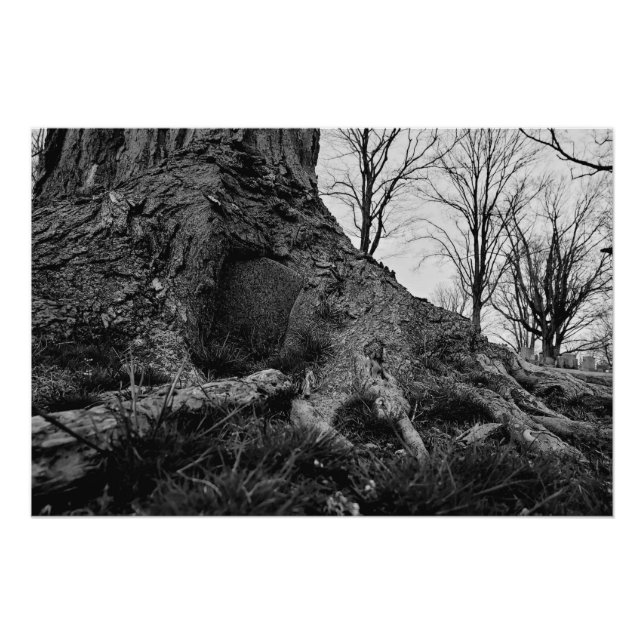 Pôster a terra recupera (Frente)