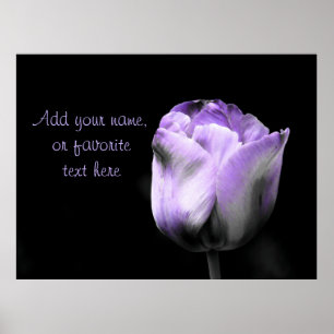 Poster A Tulipa roxa personaliza ou personaliza