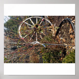 Pôster A última roda