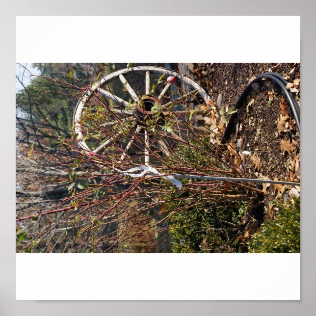 Pôster A última roda (Frente)